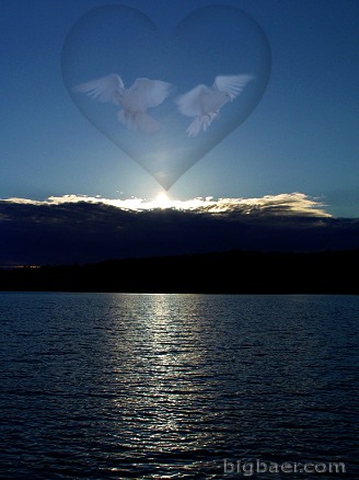 Je refl�te mon d�sir